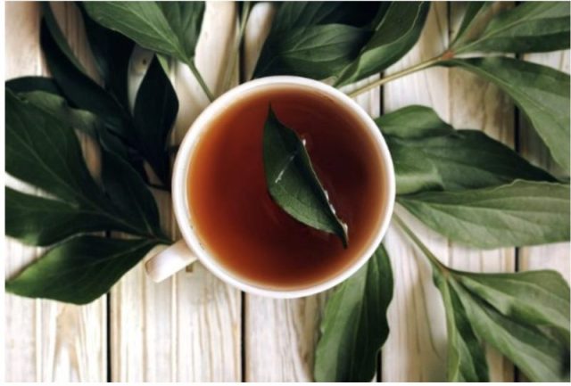 prirodni antibiotik upala mjehura prirodni antibiotik upala mjehura