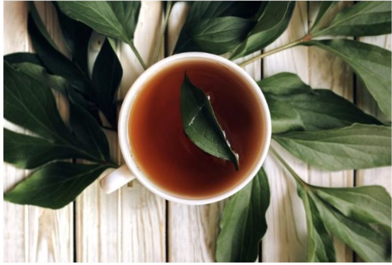 Prirodni „antibiotik“ protiv upale mjehura: recept i dokazane metode za podršku 1 prirodni antibiotik upala mjehura