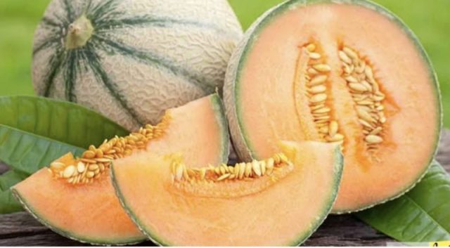 Dinja (cantaloupe): 7 naučno potkrijepljenih koristi Dinja (cantaloupe): 7 naučno potkrijepljenih koristi