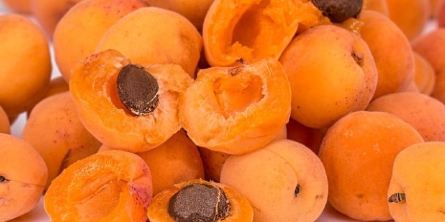 Namnlos-9 - 2022-06-08T195441.276 (11) - 2022-12-20T190128.262 - 2023-02-26T184844.245 (1) (1)