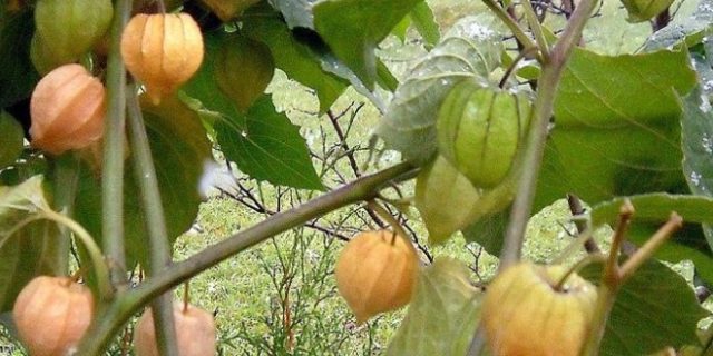 Namnlos-9 - 2022-06-08T195441.276 (11) - 2022-12-20T190128.262 - 2023-08-08T233914.587 (1)