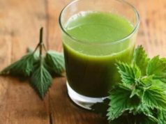 SIRUP OD MLADE KOPRIVE: Posebno je dobar za čišćenje krvi te u borbi protiv anemije…