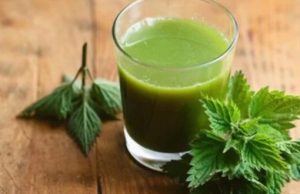 SIRUP OD MLADE KOPRIVE: Posebno je dobar za čišćenje krvi te u borbi protiv anemije…